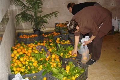 Noël des Restos Sourires - 2005