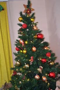 Christmas Lunch for the Elderly and Distribution of Gifts