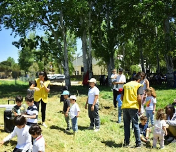 SARWA, a wide green space in